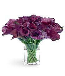 6. Purple Calla Lily