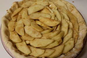 8. Apple Pie and Cobbler