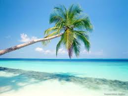 Top 10 Caribbean Honeymoon Destinations For Newlyweds Looking For a Sandy Getaway