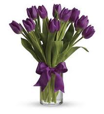 2. Purple Tulips