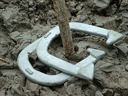 7. Horseshoes