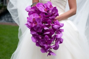10. Cascading Purple Orchids