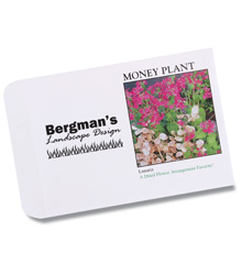 3. Money Plant Seed Packet