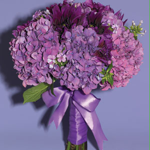 5. Hydrangeas in Purple