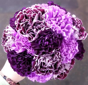 7. Simply Beautiful Carnations