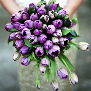 9. Tulips in Shades of Purple