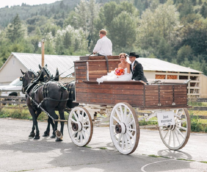 country themed wedding